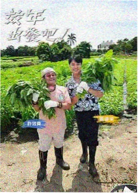 乘风破浪